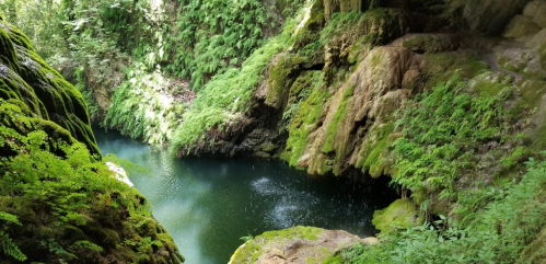 A serene, lush green landscape with a tranquil pool of water surrounded by moss-covered rocks and vibrant foliage.