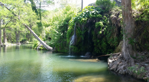 A serene river scene with lush greenery, a small waterfall, and trees reflecting in the calm water.