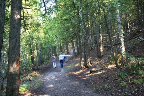 Two people walking along a dirt path through a lush green forest. Sunlight filters through the trees.