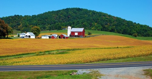 A scenic farm with red barns and silos, surrounded by golden fields and rolling green hills under a clear blue sky.