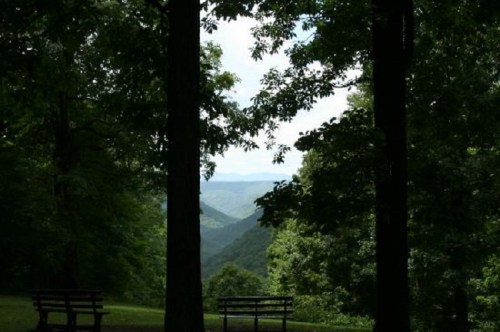 A serene view of a valley framed by trees, with two benches overlooking the landscape under a cloudy sky.