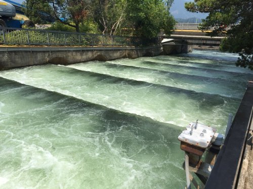 A flowing water channel with rippling waves, surrounded by greenery and a bridge in the background.