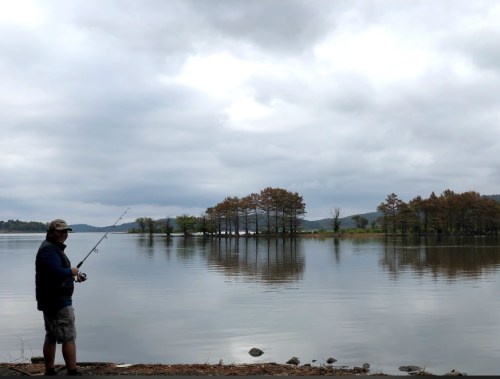 A person fishing by a calm lake, with trees reflected in the water under a cloudy sky.