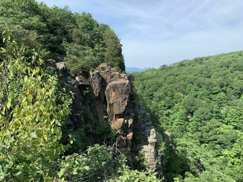 A rocky cliff surrounded by lush green trees under a clear blue sky.