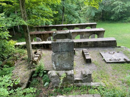 Ruins of a stone structure surrounded by lush greenery and trees, with remnants of walls and arches visible.