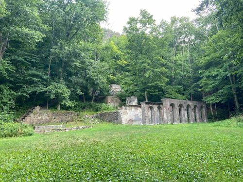 Ruins of stone arches surrounded by lush green trees and grass in a forested area.