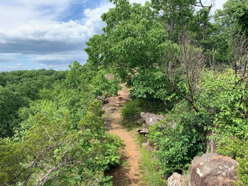 A rocky path winds through lush greenery, leading along a ridge with trees and a cloudy sky above.