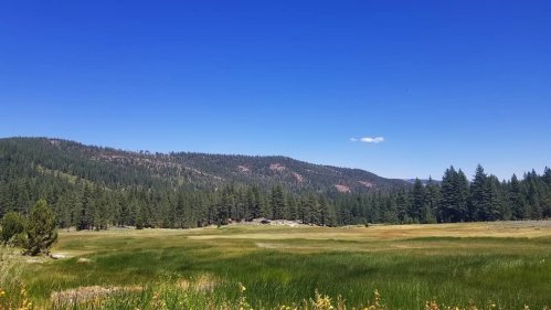 A scenic landscape featuring a green meadow surrounded by trees and mountains under a clear blue sky.