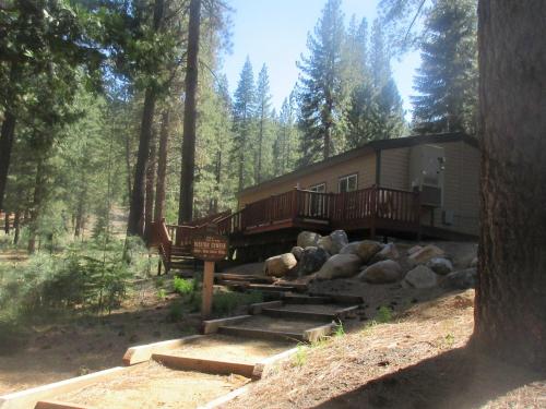 A cabin nestled among tall trees, with a wooden deck and stone steps leading up to it in a forested area.