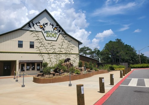 Entrance of a zoo with a mural, surrounded by greenery and a clear blue sky. Pathway leads to the entrance.