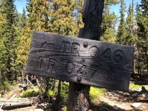 Wooden trail sign indicating directions for TR 046 to the left and TR 047 straight ahead, surrounded by trees.