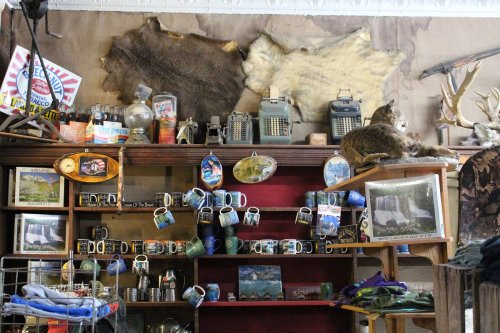 A cluttered vintage shop display with typewriters, mugs, photos, and a cat resting on a shelf.