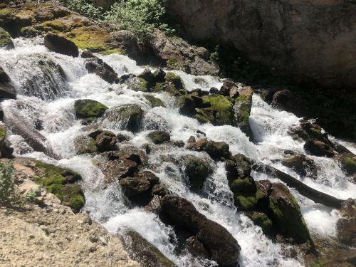 A rushing stream flows over moss-covered rocks, surrounded by greenery and rocky terrain.