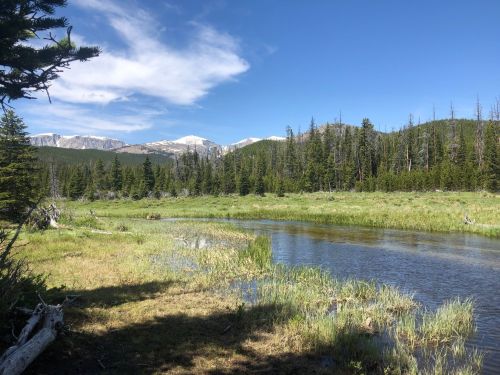 A serene landscape featuring a river, lush green grass, and mountains under a clear blue sky.