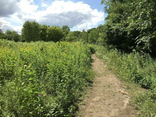 A dirt path winds through a lush green field with wildflowers under a partly cloudy sky.