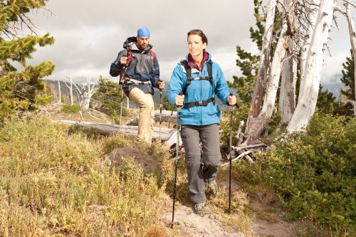 Two hikers navigate a forest trail, one using trekking poles, surrounded by trees and rocky terrain.