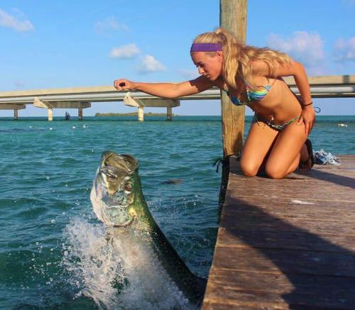 A woman in a bikini leans over a dock, feeding a large fish that is jumping out of the water.