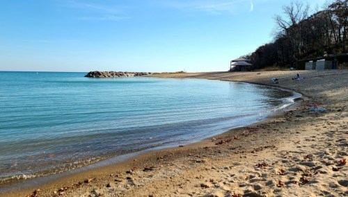 A serene beach scene with calm water, sandy shore, and distant trees under a clear blue sky.