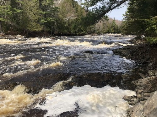 A flowing river with frothy water, surrounded by lush green trees and rocky banks under a clear sky.