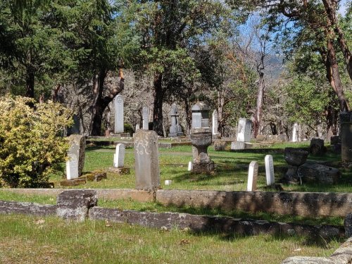 A serene cemetery with various gravestones surrounded by trees and greenery under a clear blue sky.