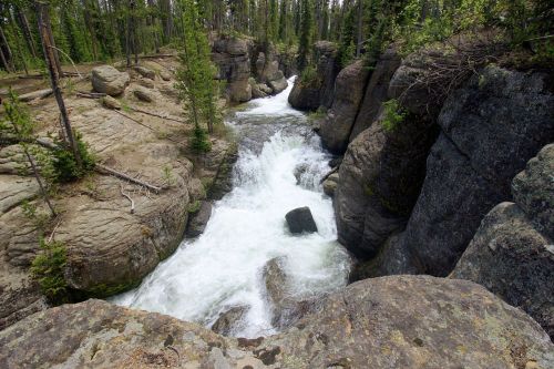 A rushing river flows through rocky terrain, surrounded by tall trees and boulders in a natural landscape.
