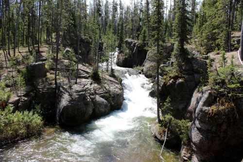 A serene river flows through rocky terrain, surrounded by tall trees and lush greenery in a natural landscape.
