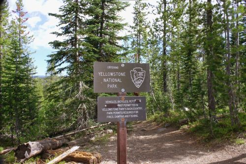 Sign marking the entrance to Yellowstone National Park, surrounded by trees and natural scenery.
