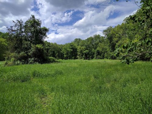 A lush green field surrounded by trees under a partly cloudy sky.