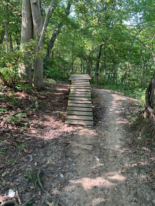 A wooden bridge spans a dirt path through a lush, green forest. Sunlight filters through the trees.