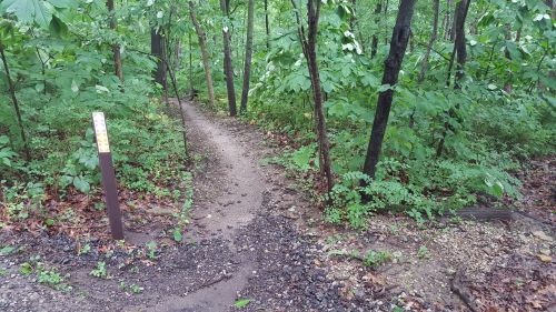 A winding dirt path through a lush green forest, flanked by trees and foliage. A trail marker is visible on the left.