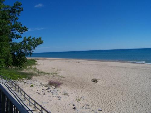 A serene beach scene with soft sand, gentle waves, and a clear blue sky, framed by green trees in the background.