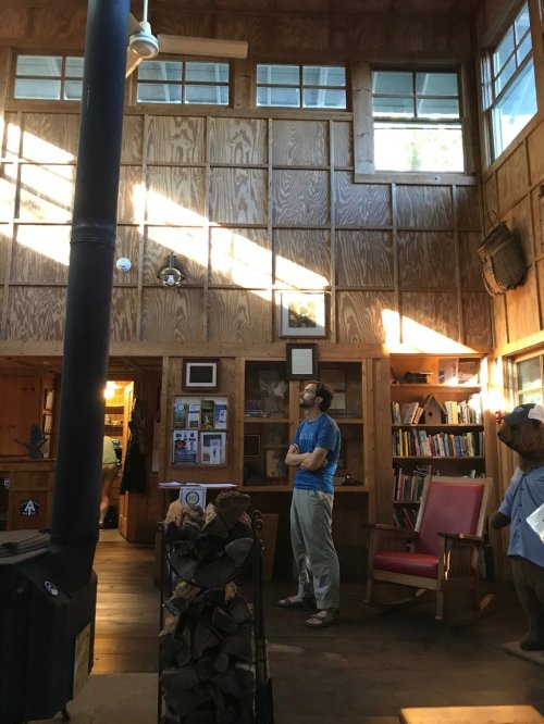 A man stands in a wooden interior, gazing up at sunlight streaming through windows, surrounded by books and decor.