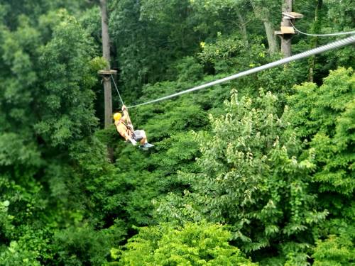 Two people ziplining through a lush green forest, surrounded by dense trees and foliage.