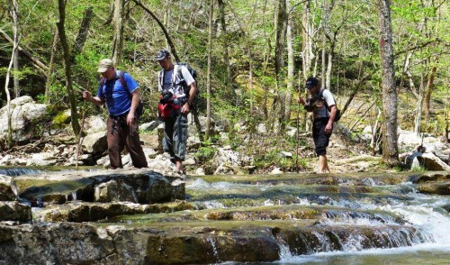 Three hikers navigate rocky terrain near a stream, surrounded by lush greenery and trees.