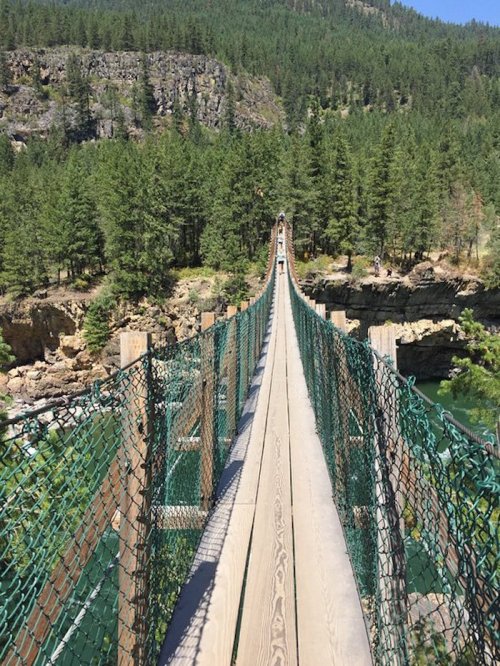 A long suspension bridge stretches over a river, surrounded by lush green trees and rocky cliffs.