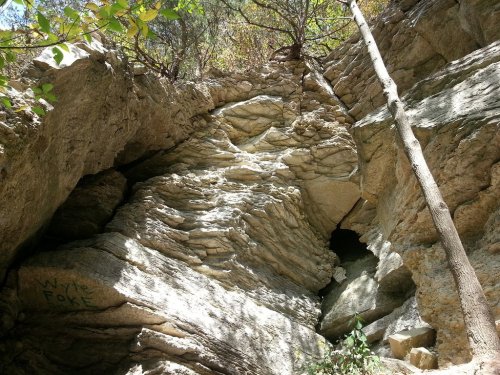 Rocky cliffside with layered stone formations and sparse vegetation, featuring a tree and graffiti that reads "Wyte Fox."