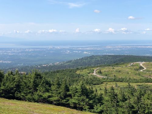 A panoramic view of a lush green landscape with a distant city skyline under a clear blue sky.