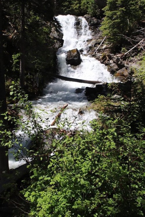 A cascading waterfall flows through a rocky landscape, surrounded by lush green foliage and trees.