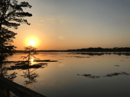 Sunset over a calm lake, with silhouettes of trees and reflections on the water's surface.