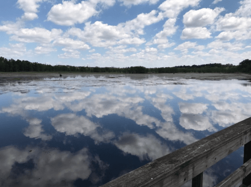 A serene lake reflecting fluffy clouds and blue sky, with a wooden railing in the foreground.