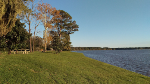 A serene lakeside view with green grass, trees, and a clear blue sky, perfect for relaxation and nature walks.
