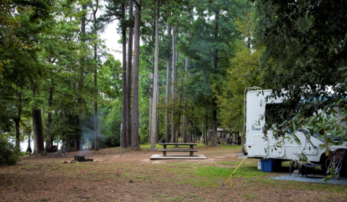A serene campsite with tall trees, a picnic table, and an RV, featuring a small fire pit in the background.