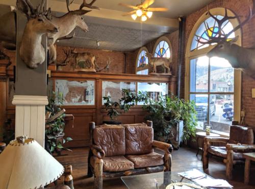 Cozy interior with mounted deer heads, rustic furniture, and large windows, featuring plants and a warm atmosphere.