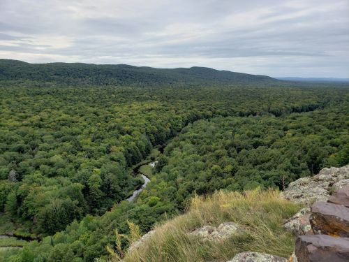A panoramic view of lush green forests and a winding river under a cloudy sky.