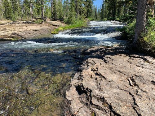 A serene river flows over rocky terrain, surrounded by lush trees and greenery under a clear blue sky.