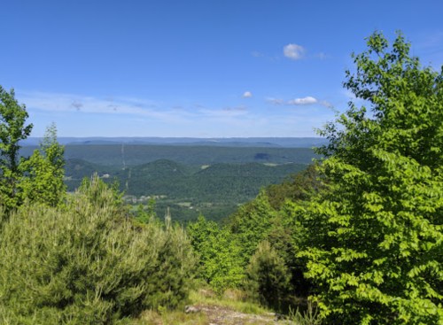 A scenic view of rolling green hills under a clear blue sky, framed by lush trees in the foreground.