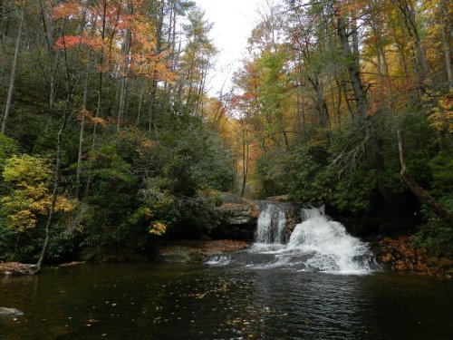 A serene waterfall cascades into a calm pool, surrounded by vibrant autumn foliage and lush greenery.