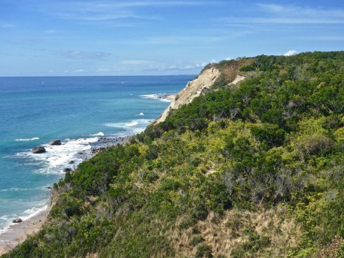 A scenic coastal view featuring lush greenery, cliffs, and a calm blue ocean under a clear sky.