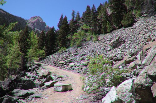 A rocky trail winds through a forested area, surrounded by trees and mountains under a clear blue sky.