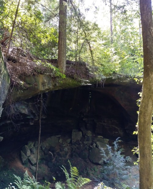 A natural rock overhang surrounded by lush green trees and ferns in a serene forest setting.